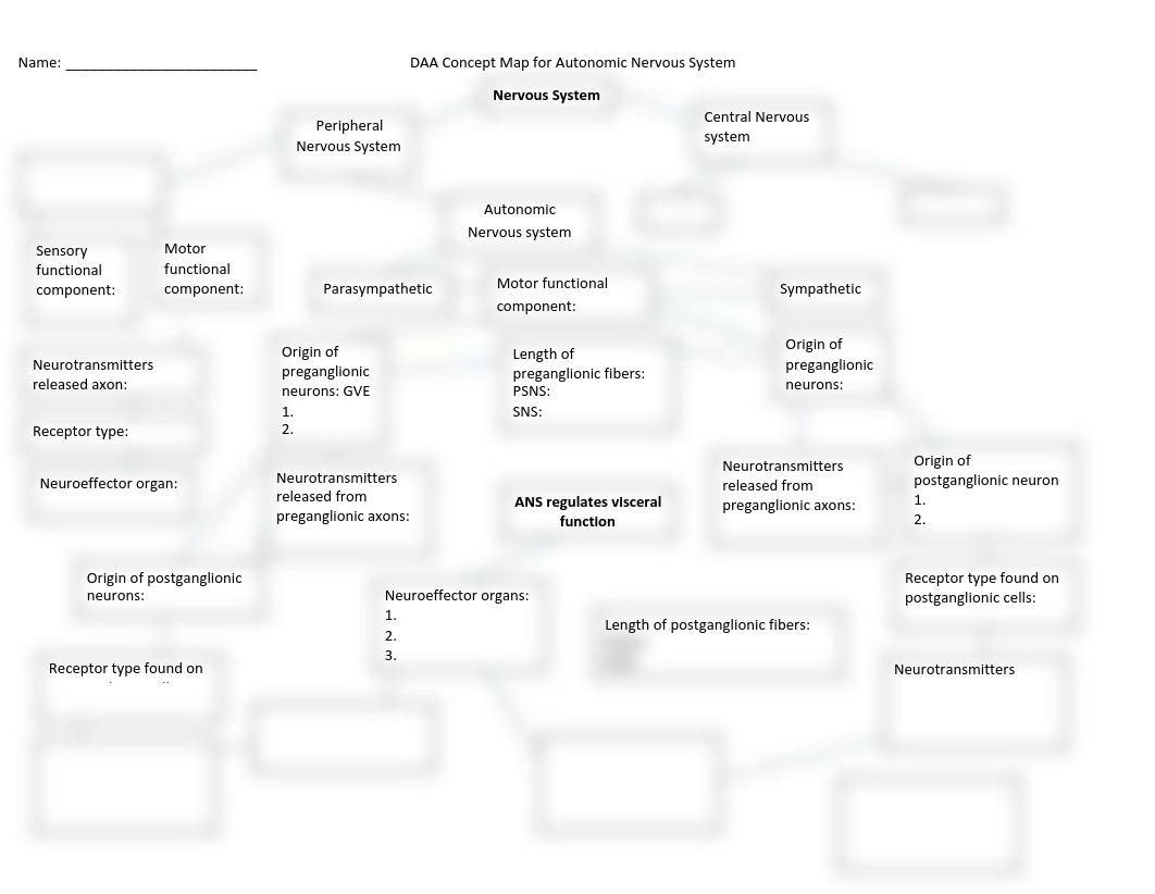 Concept Map for Nervous System.pdf_d12317hb798_page1