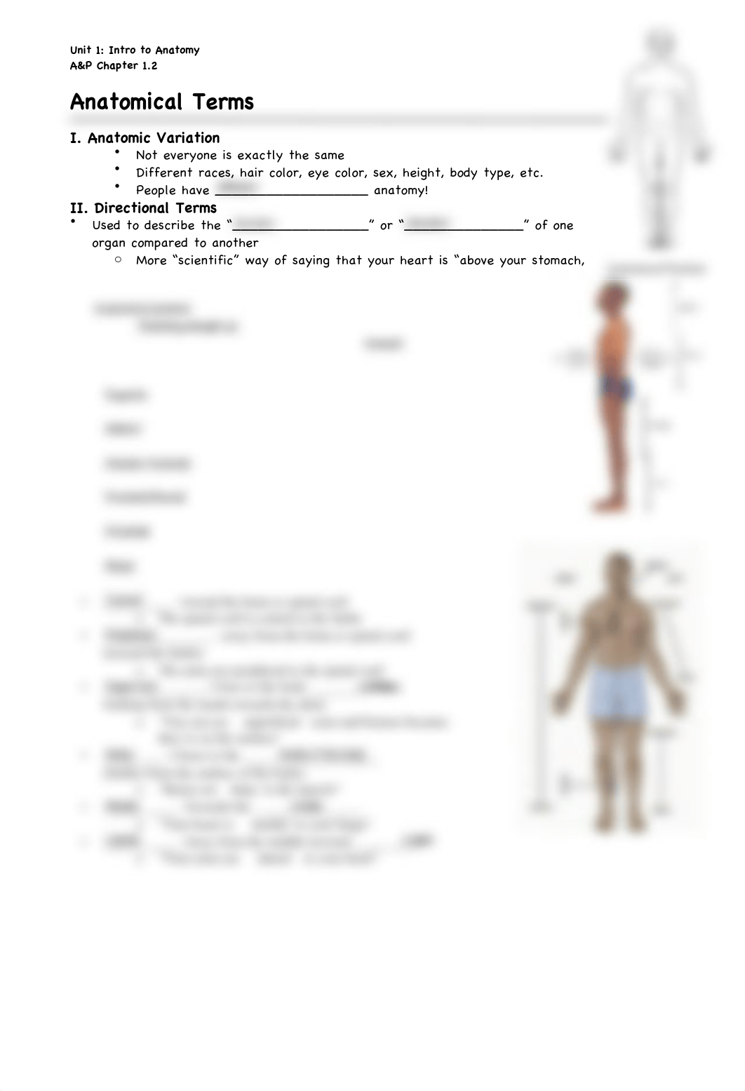 notes_anatomical_terms09_fill-in_kd11__5_.pdf_d124w34ilyb_page1