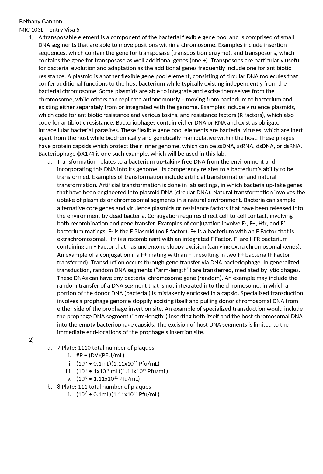 Entry Visa 5.docx_d129cqz8slv_page1