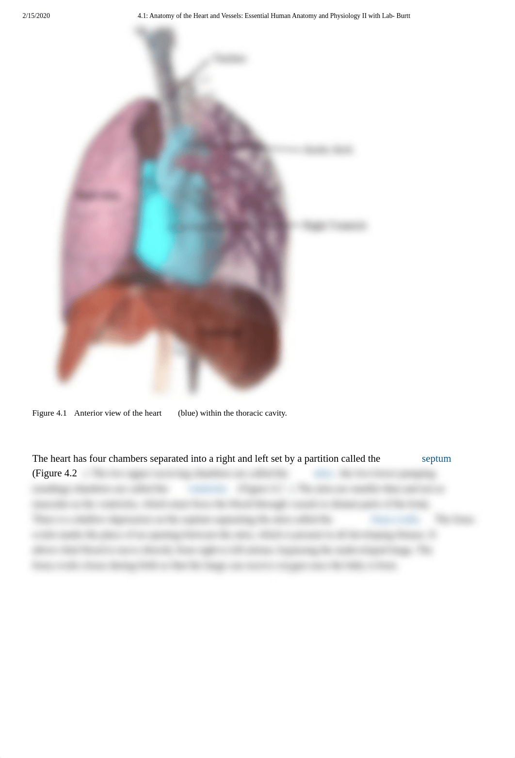 4.1_ Anatomy of the Heart and Vessels_ Essential Human Anatomy and Physiology II with Lab- Burtt.pdf_d12rkd16xon_page3