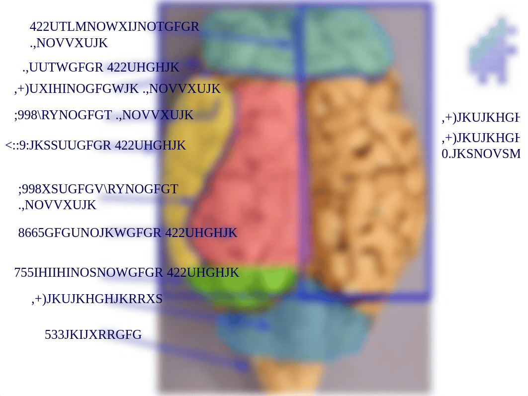 Sheep Brain Intro, Dorsal & Lateral Views.ppt.pdf_d12tmy2qegx_page4