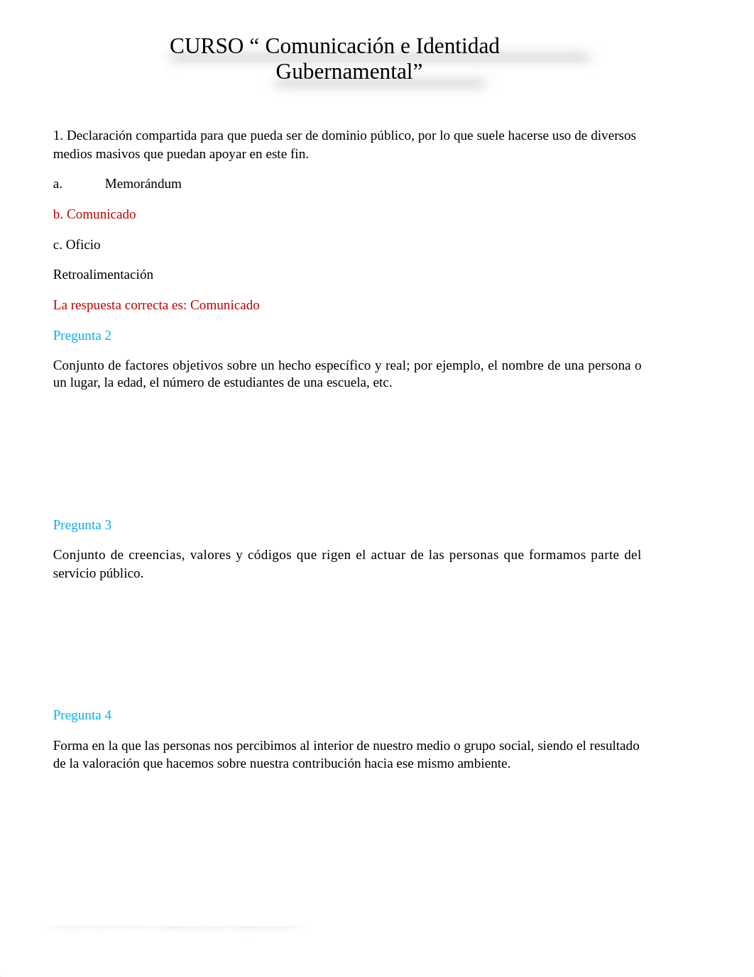 CURSO Comunicación e Identidad Gubernamental..docx_d12vf3xpgfb_page1