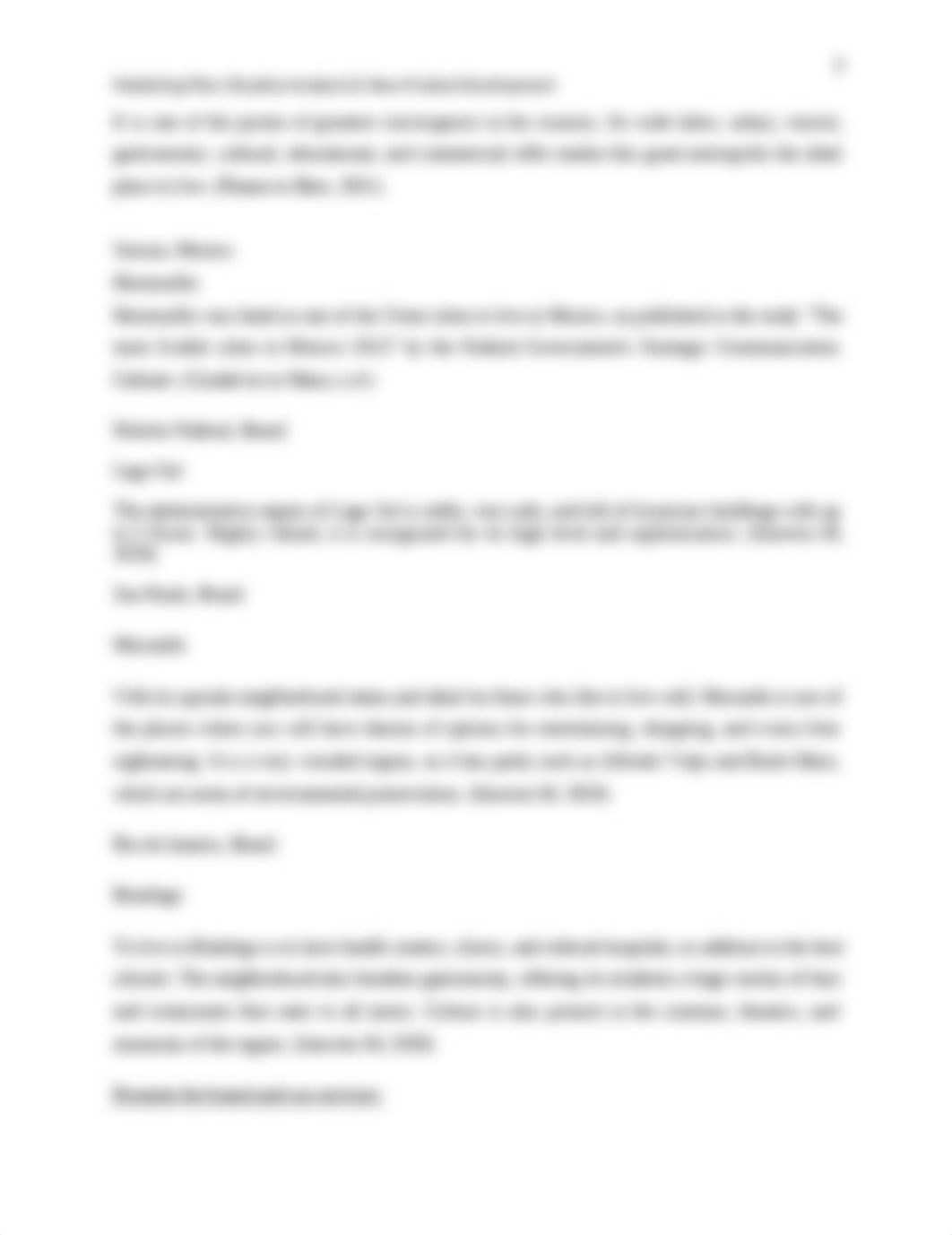 Marketing Situation Analysis & New Product Development.docx_d1306iwo8s0_page3