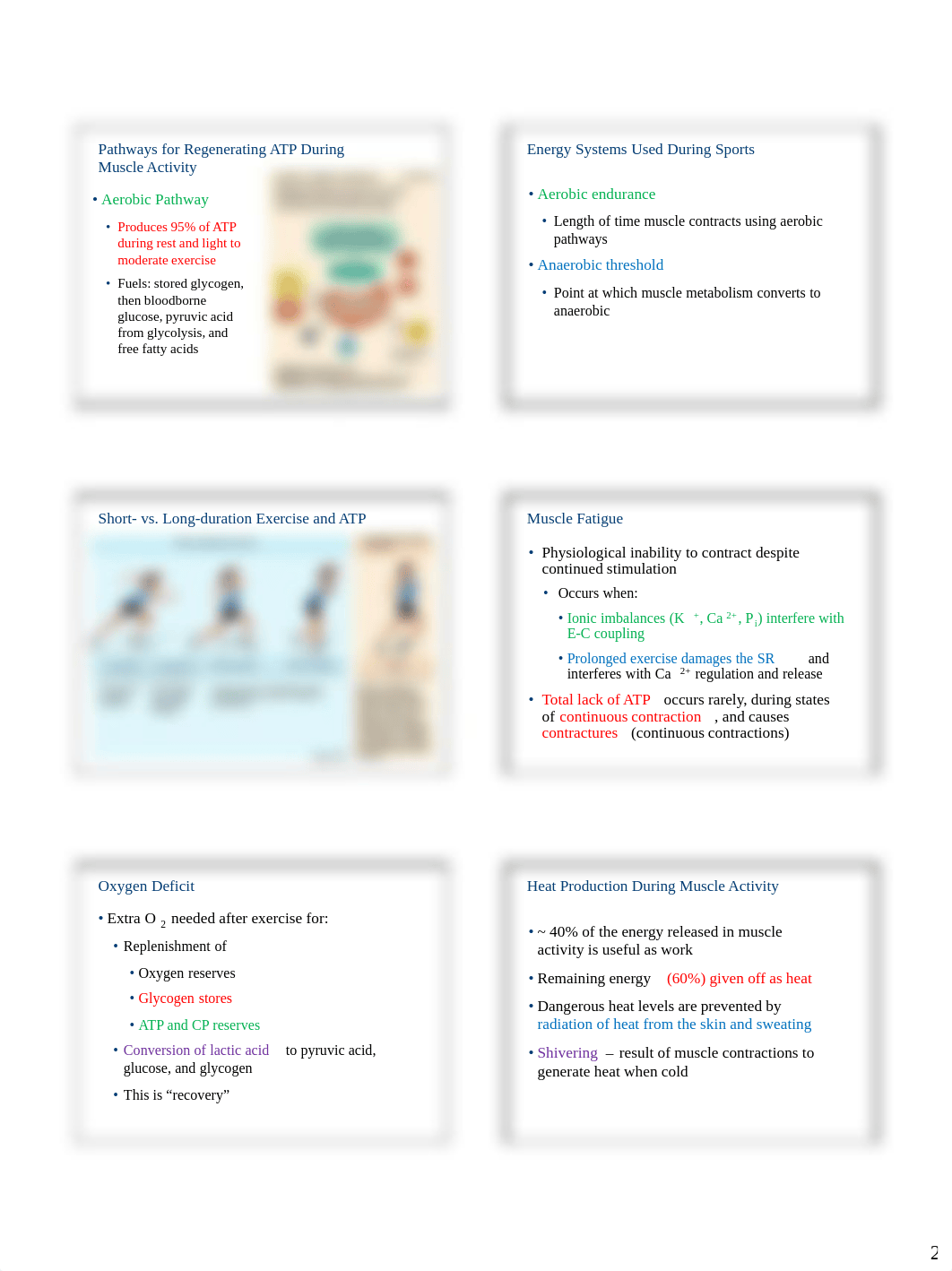 Ch09_Muscles_Slides_PartB.pdf_d1368vfvf04_page2