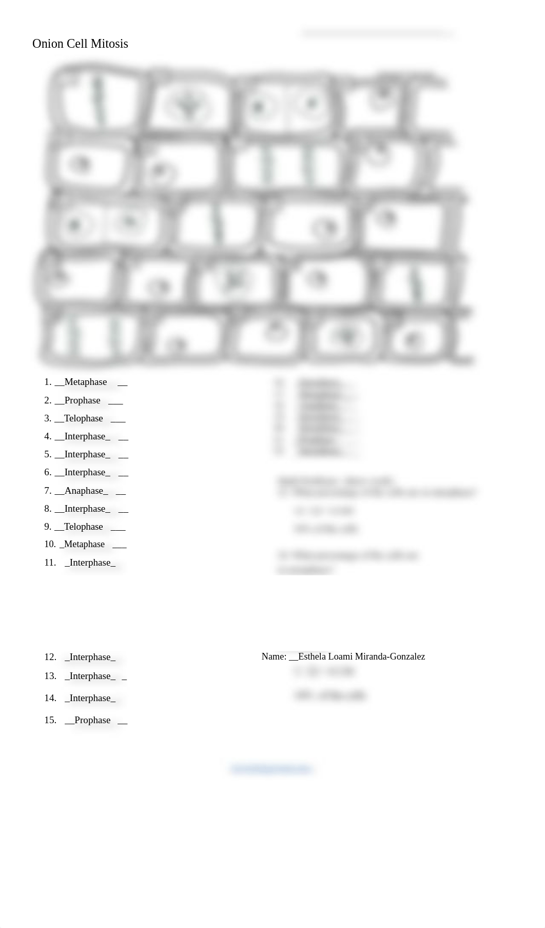 Onion Cell Mitosis.docx_d13e7nckt2f_page1