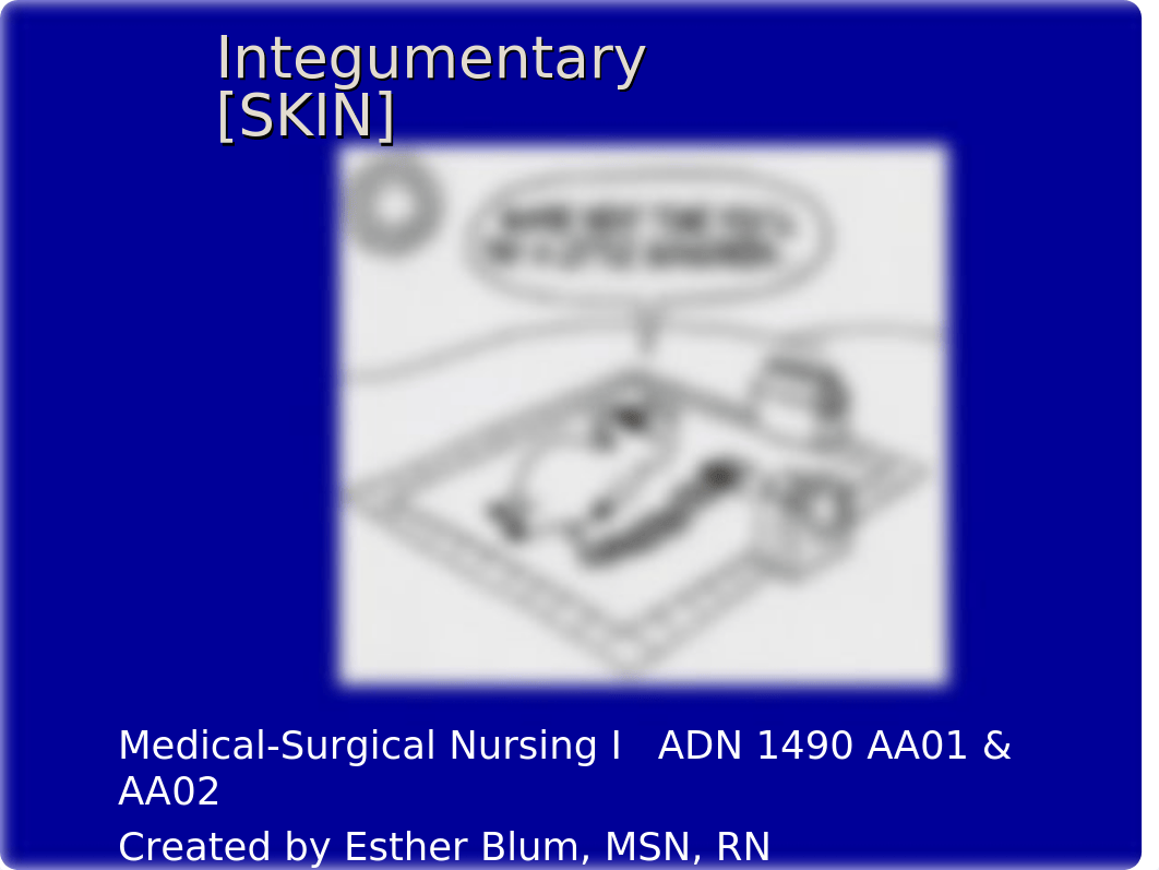 2020 integumentary  (skin).ppt_d13eidcozxf_page1