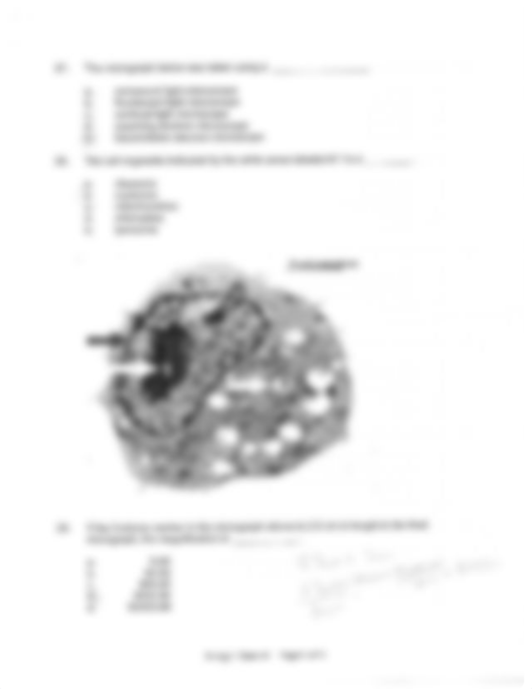 Bio Exam 1 2010 pt1_d13g89yq57d_page4