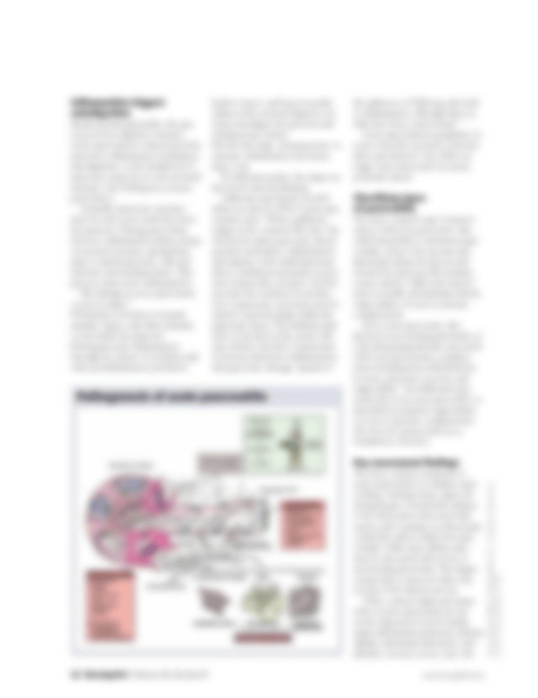 understanding acute pancreatitis_d13lsf7d4g6_page3