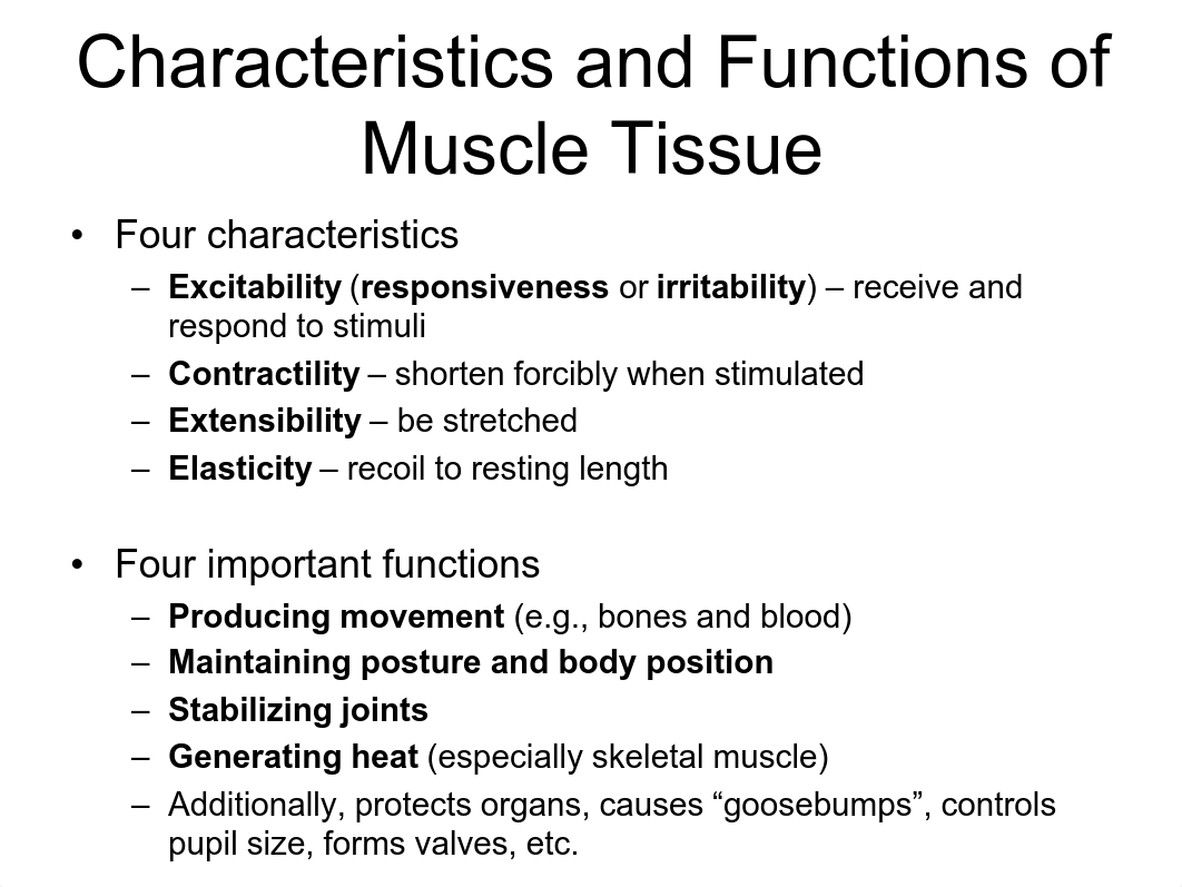 Lab 6-7-Muscle.pdf_d13sadwdomc_page3