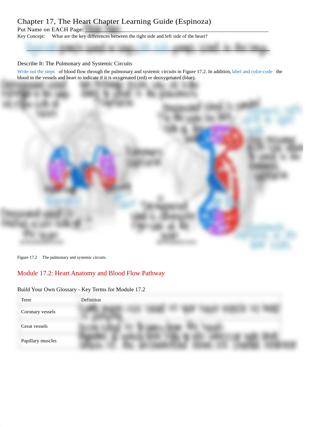 Chapter 17 Heart Learning Guide (Espinoza).pdf_d143ypxtsso_page2