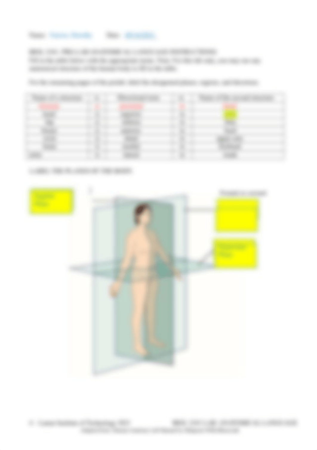 BIOL_2101_1-Human-Anatomy-online-Lab-ANATOMICAL-LANGUAGE (4).docx_d14ccqdl0lf_page4