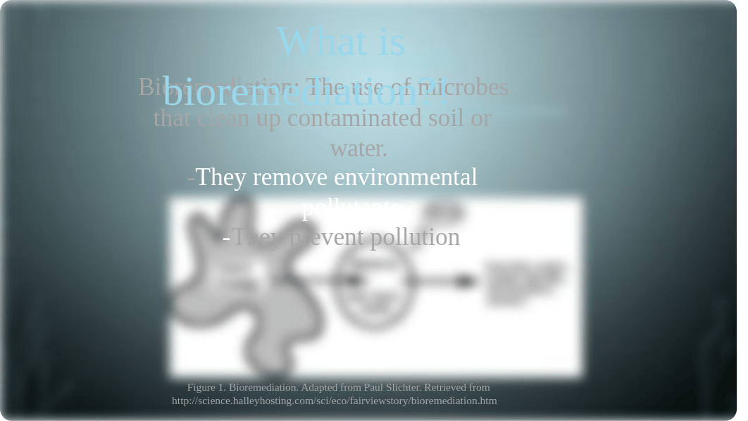 Luther, Cassandra_SC246 Microbiology - Unit 9 Assignment.pptx_d154h2dnhow_page2