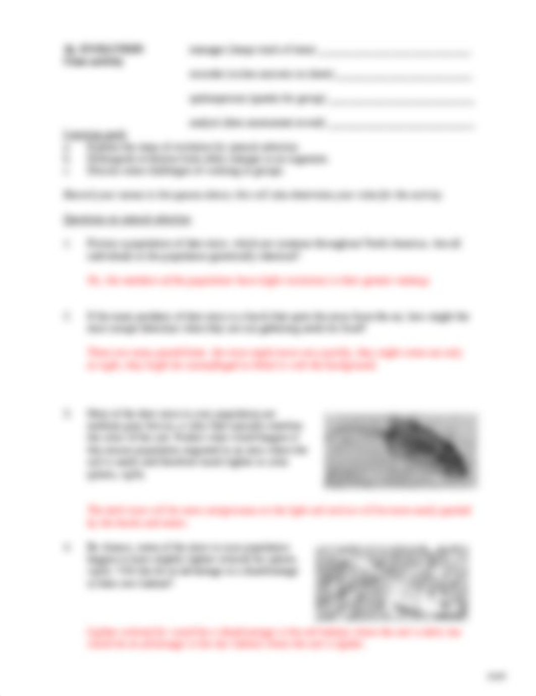 1b key Evolution activity.docx_d15ao01lg50_page1