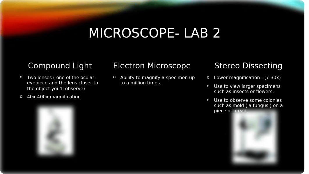 Biology lab 1 test.pptx_d15la64pio8_page5