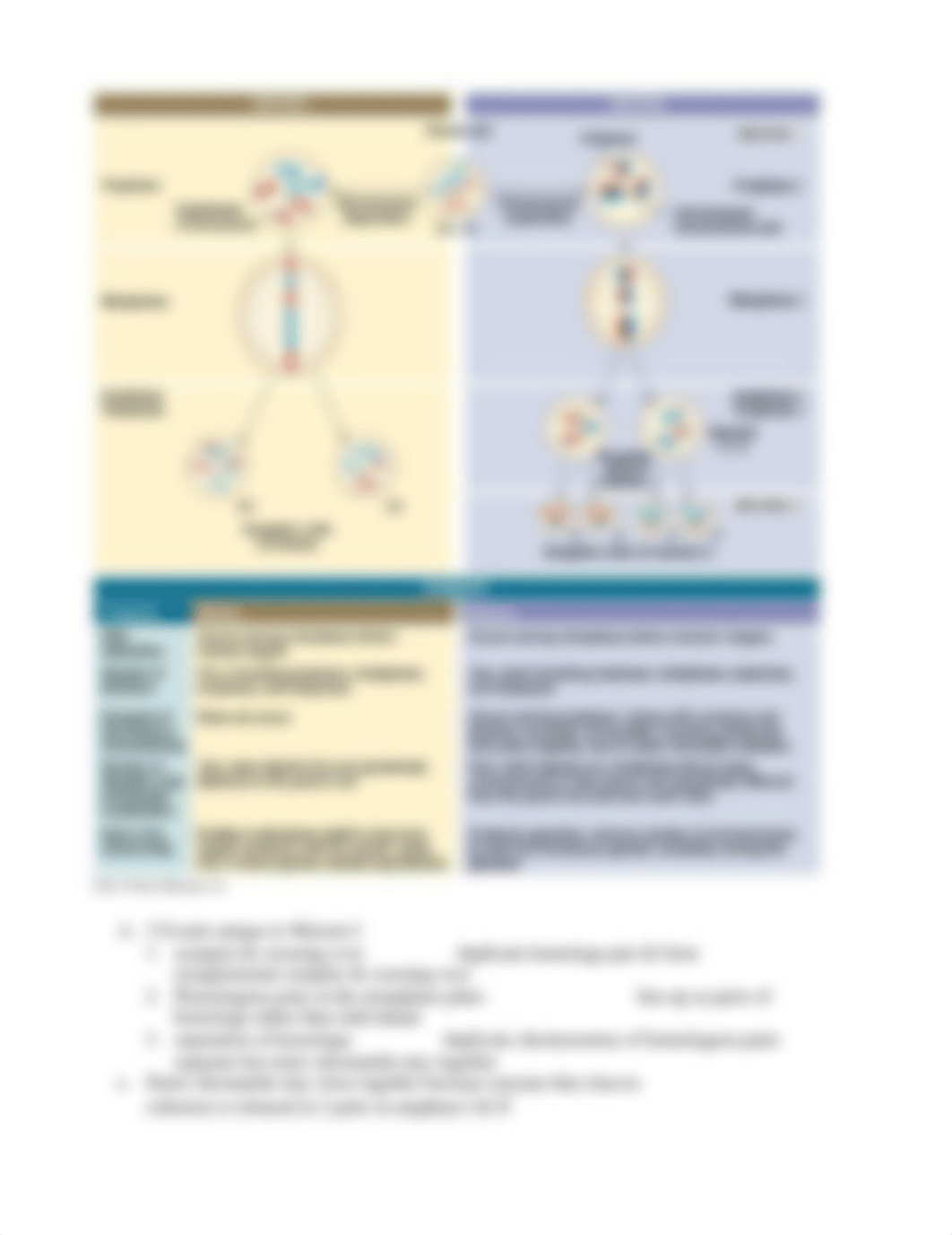 BIO 160 online test 4 notes.docx_d15ox5vyzk9_page4