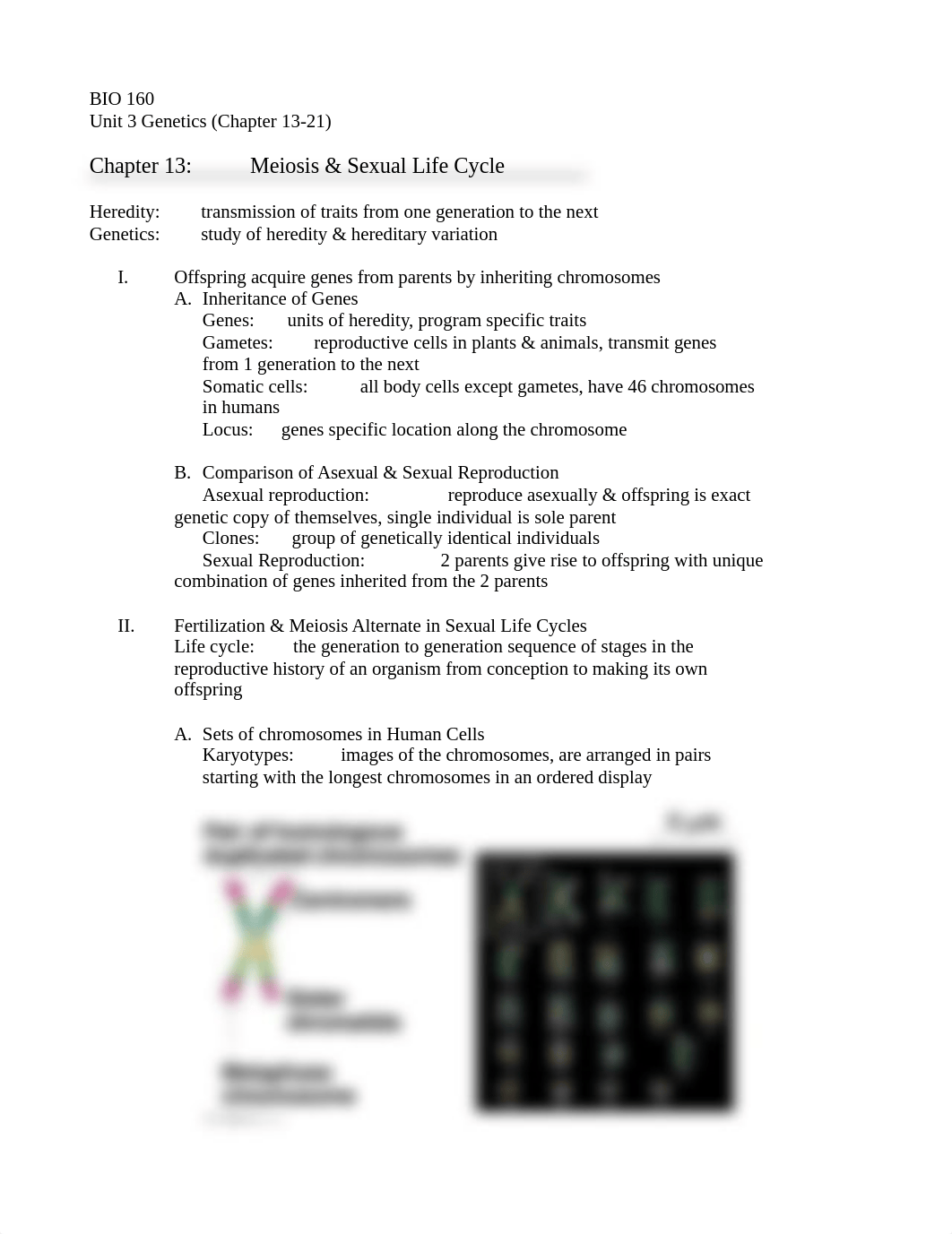 BIO 160 online test 4 notes.docx_d15ox5vyzk9_page1