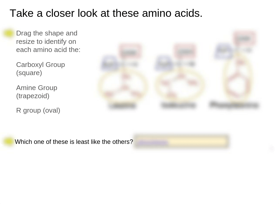 Copy of Copy of Biomolecules_  Proteins  (Guided Learning).pptx_d15ti6bayeo_page5