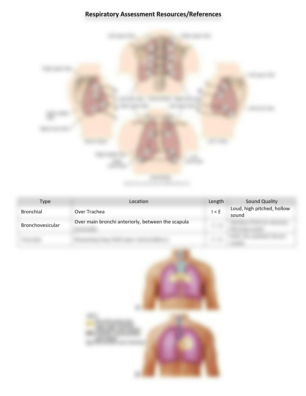 Respiratory Assessment Resource #1 (1) (1).pdf_d16158bt2zm_page1