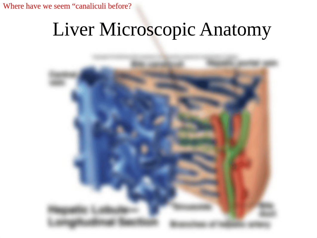 Digestive System Part B_d1622pni25n_page5