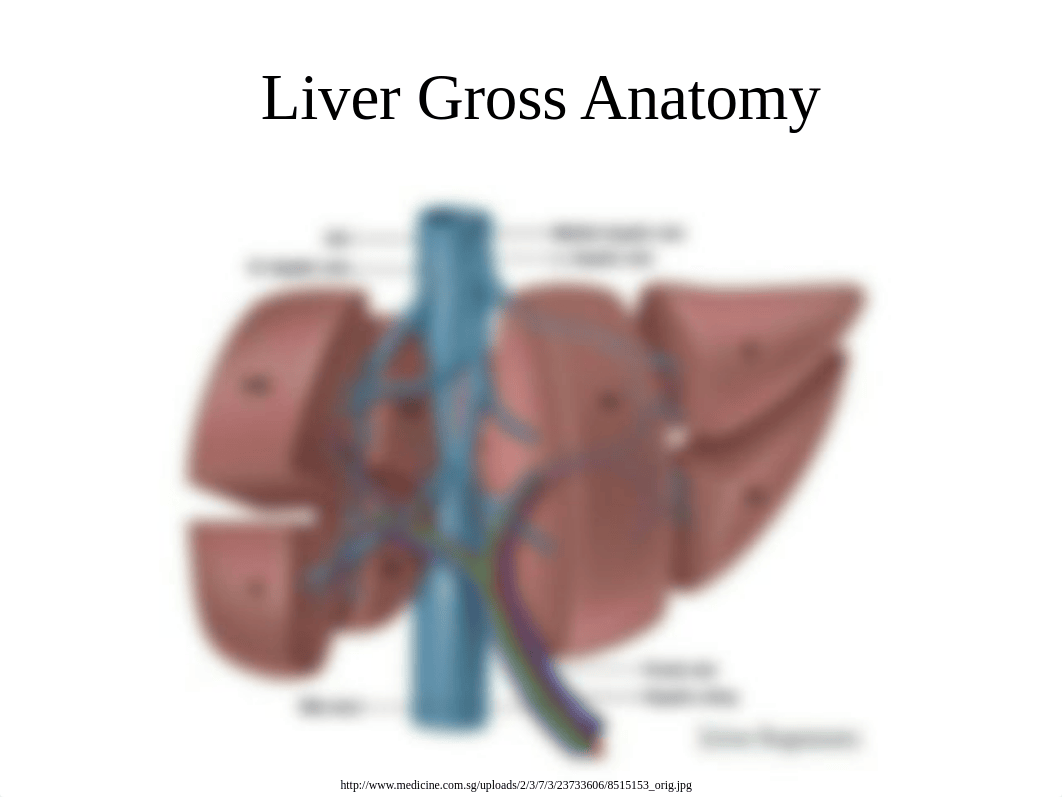 Digestive System Part B_d1622pni25n_page4