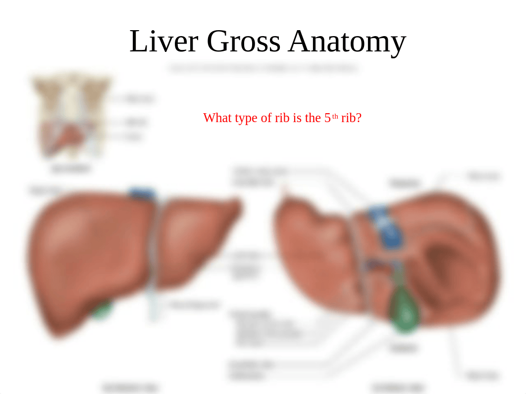 Digestive System Part B_d1622pni25n_page3