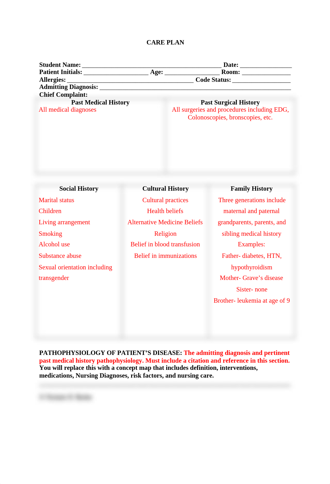 Care Plan Example.doc_d168wu2wuzc_page1