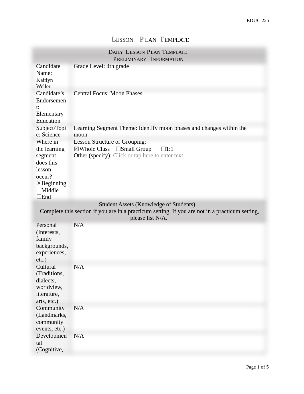 Lesson Plan Template.docx_d16c2gw1ir3_page1