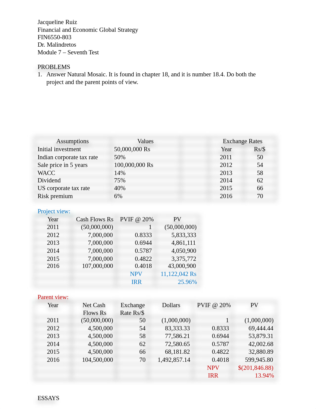 Seventh Test Financial and Economic Global Strategy_Jacqueline Ruiz.docx_d16c46mp0ws_page1