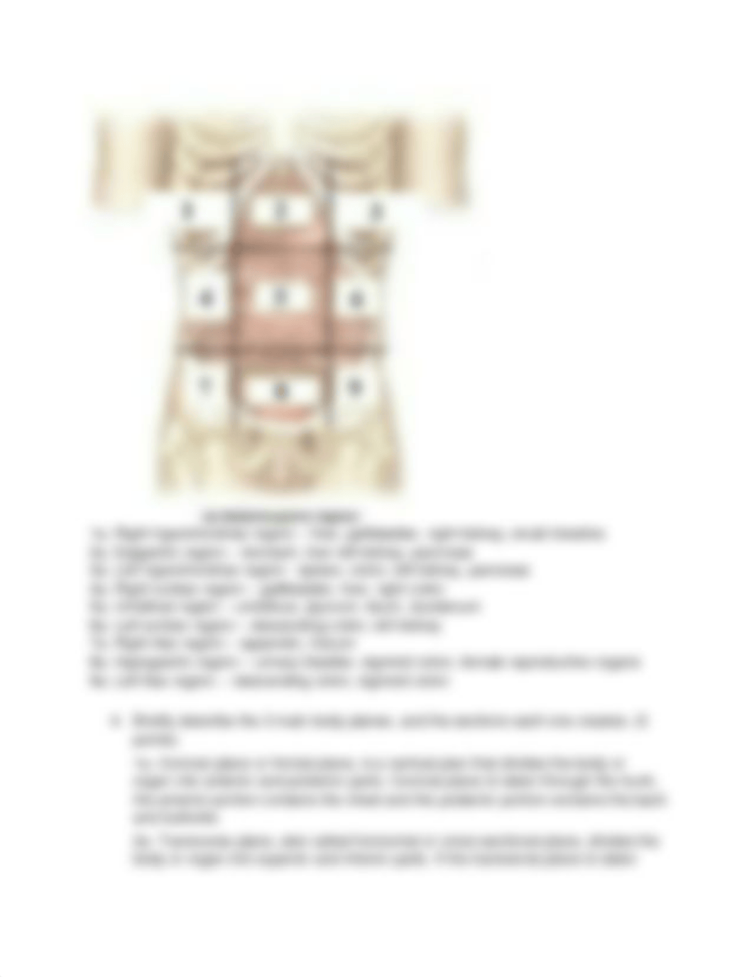 Chapter 1 - A&P.docx_d16dcs5pu4p_page2