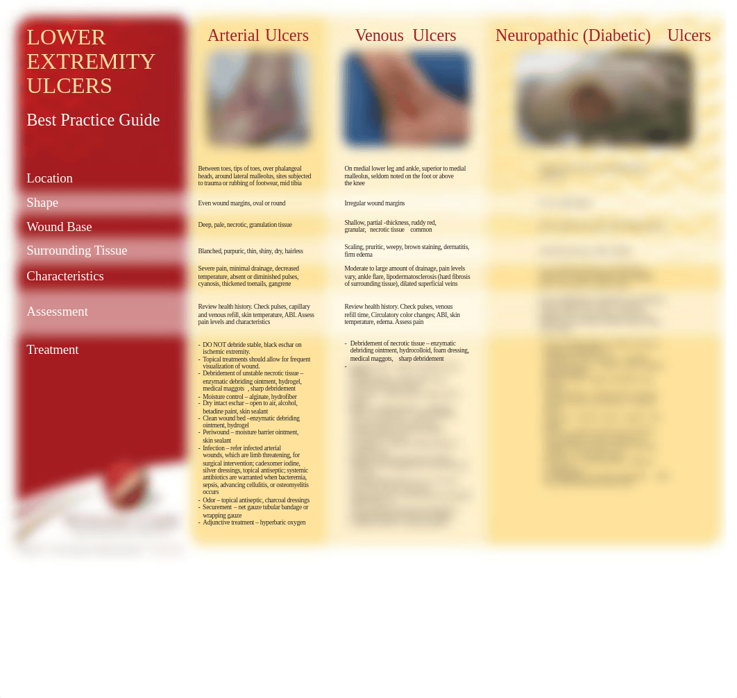 WCEI_Lower_Extremity_Ulcer_Guide.pdf_d16dirzwmnm_page1