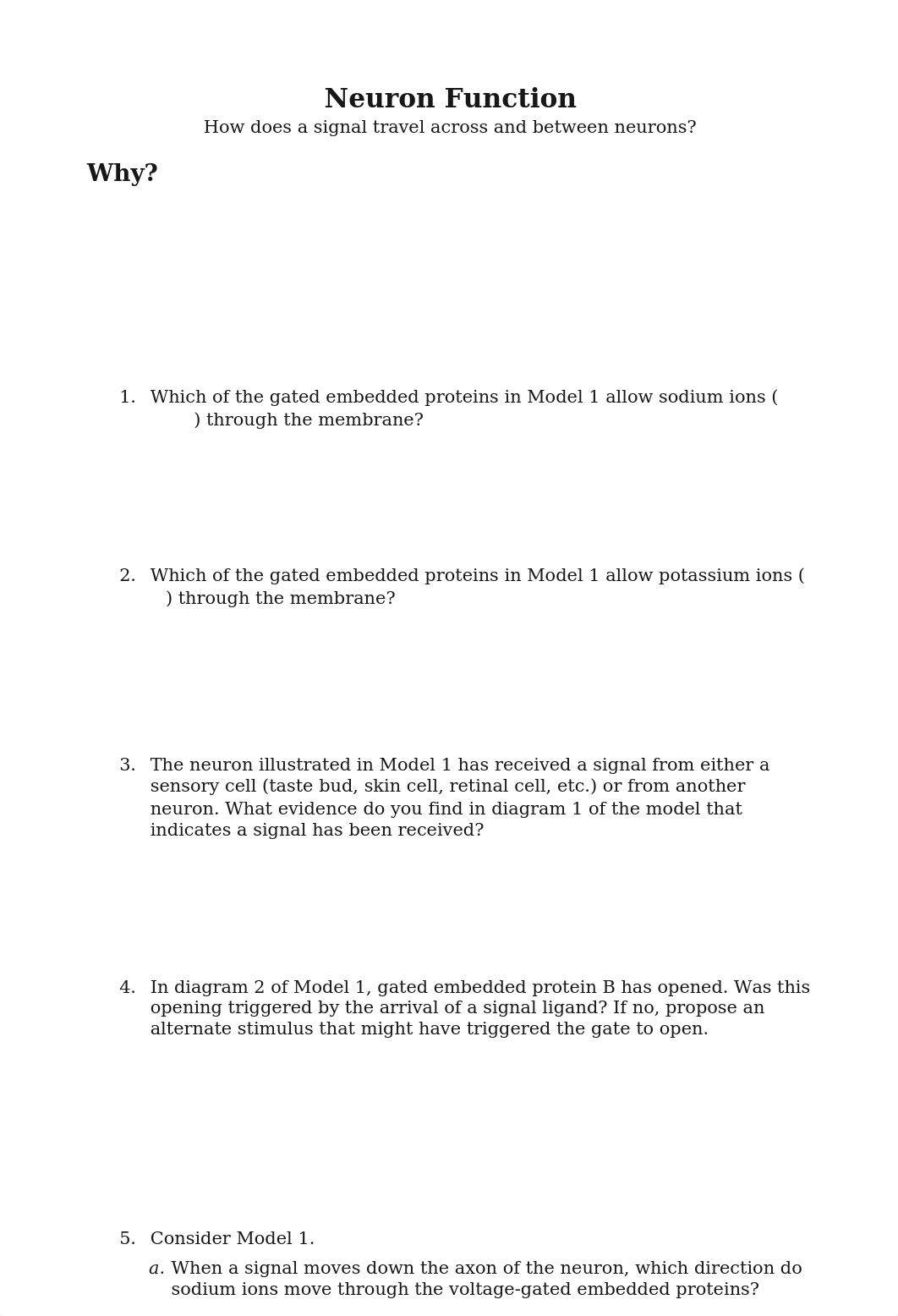 30_Neuron_Function-S.docx_d16jvw8tscn_page1