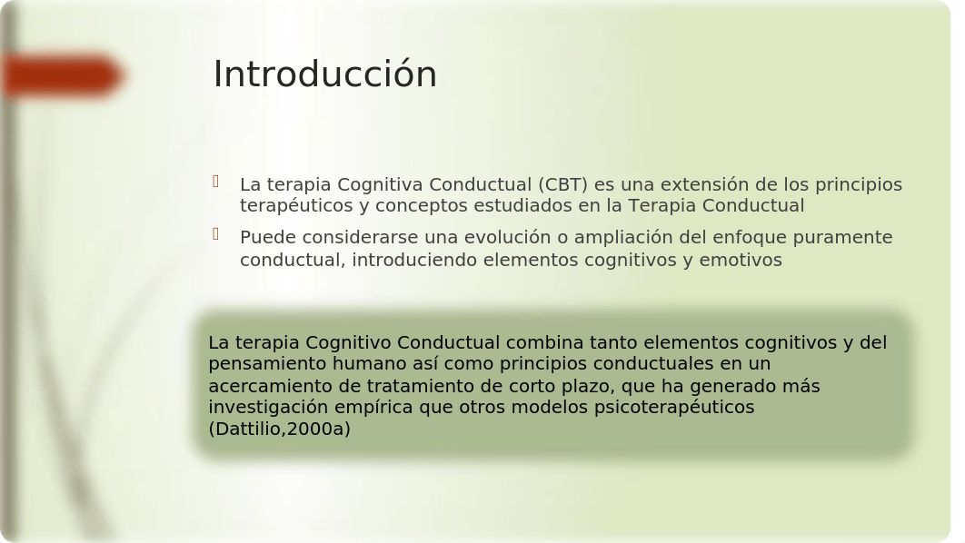 Terapia Cognitiva Conductual Presentacion Clase 1.pptx_d16kvj0ap4v_page4