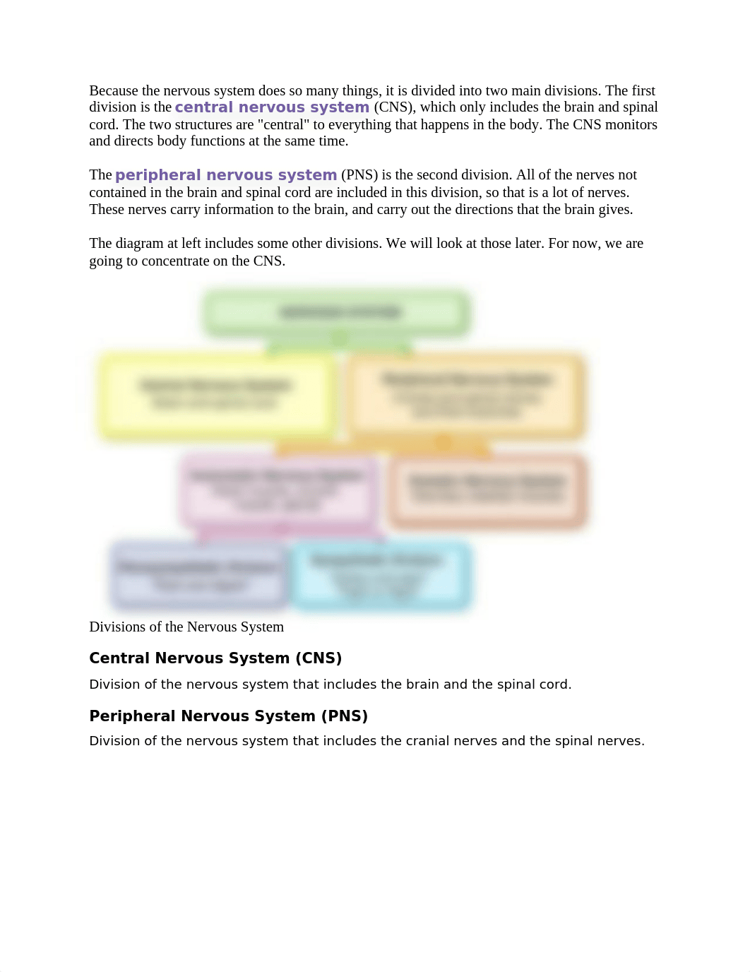 NERVOUS SYSTEM.doc_d16opb4fmc0_page2