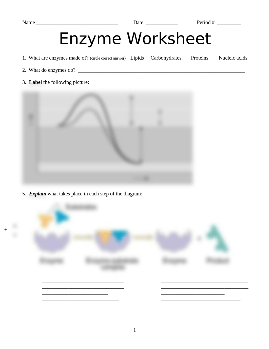 _enzyme_worksheet_d16v17mmjpc_page1