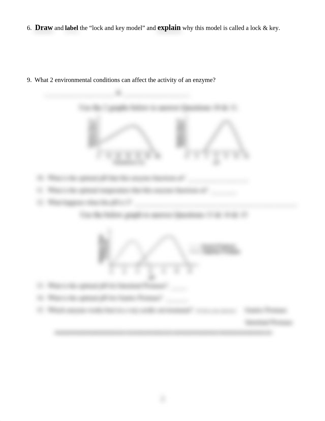 _enzyme_worksheet_d16v17mmjpc_page2