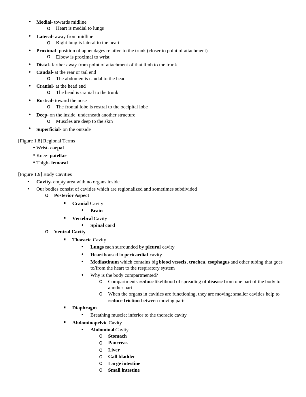 Anatomy Test 1_d1730fkb3u6_page2