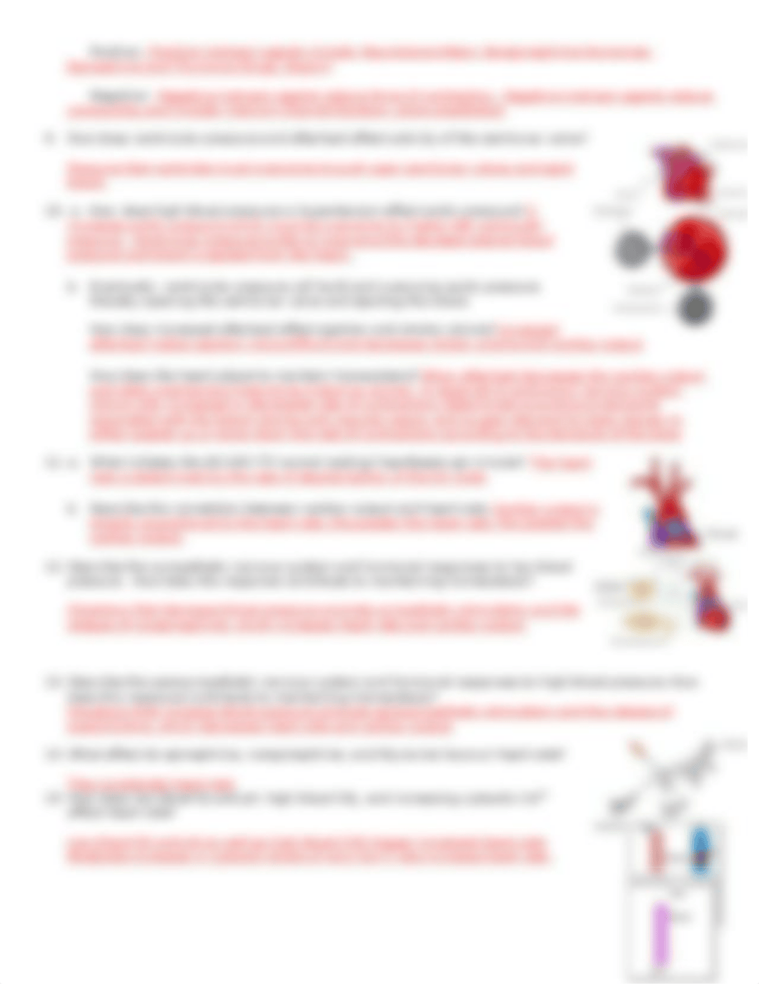 20 Cardiac Output AEd_d174brne864_page2