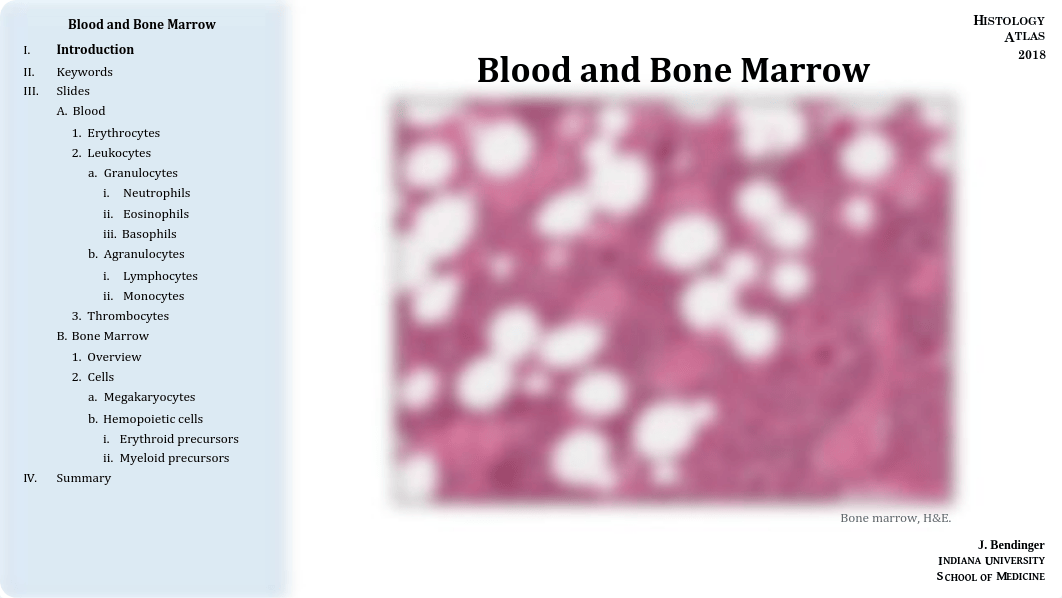 05 - Blood and Bone Marrow.pdf_d177f7np2t5_page1