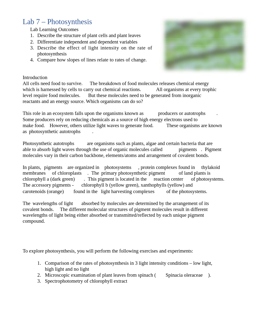 Lab 7 Photosynthesis.docx_d17ag0tfi0s_page1