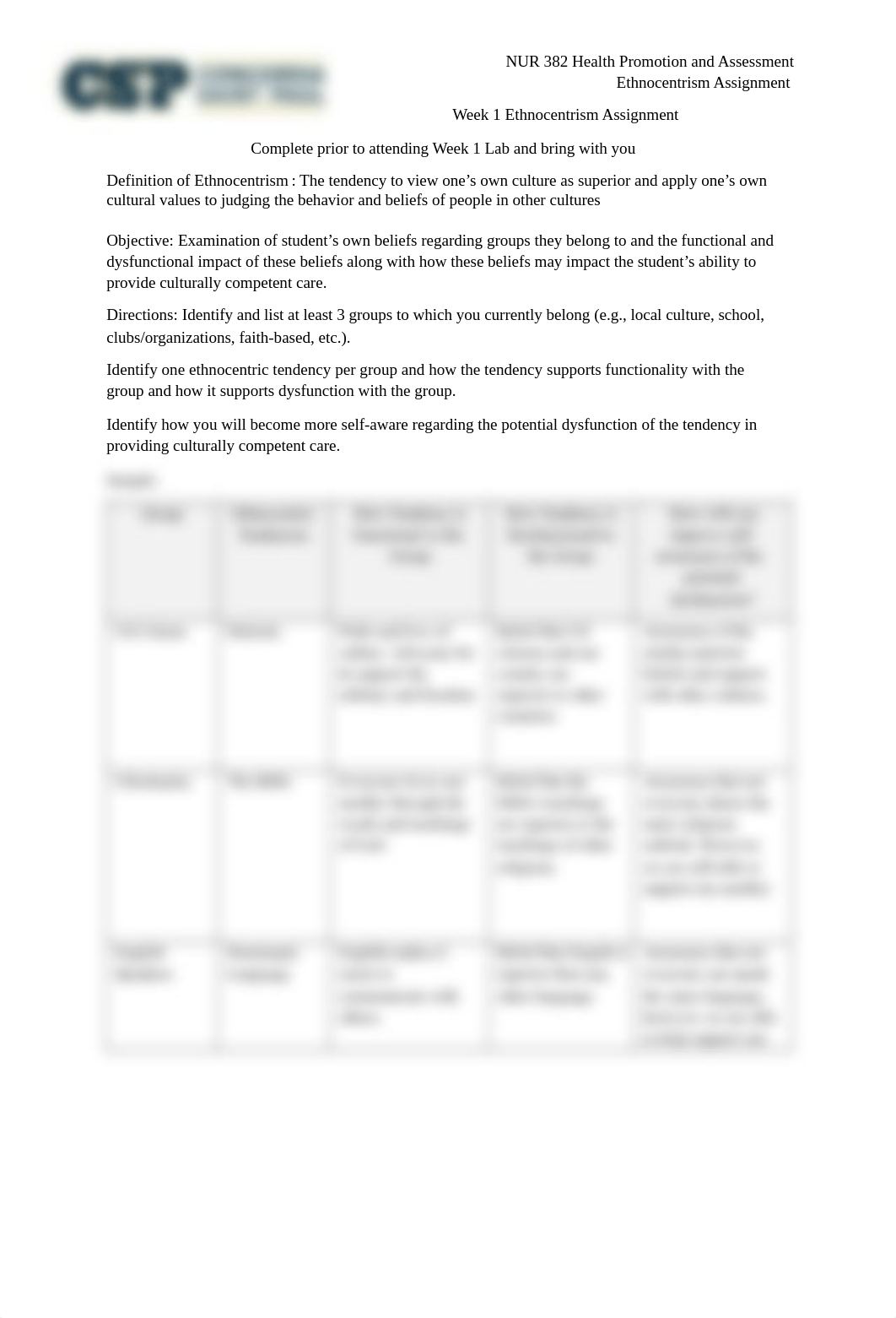 NUR 382 Ethnocentrism Assignment - Caitlin May.docx_d17f62mobd4_page1