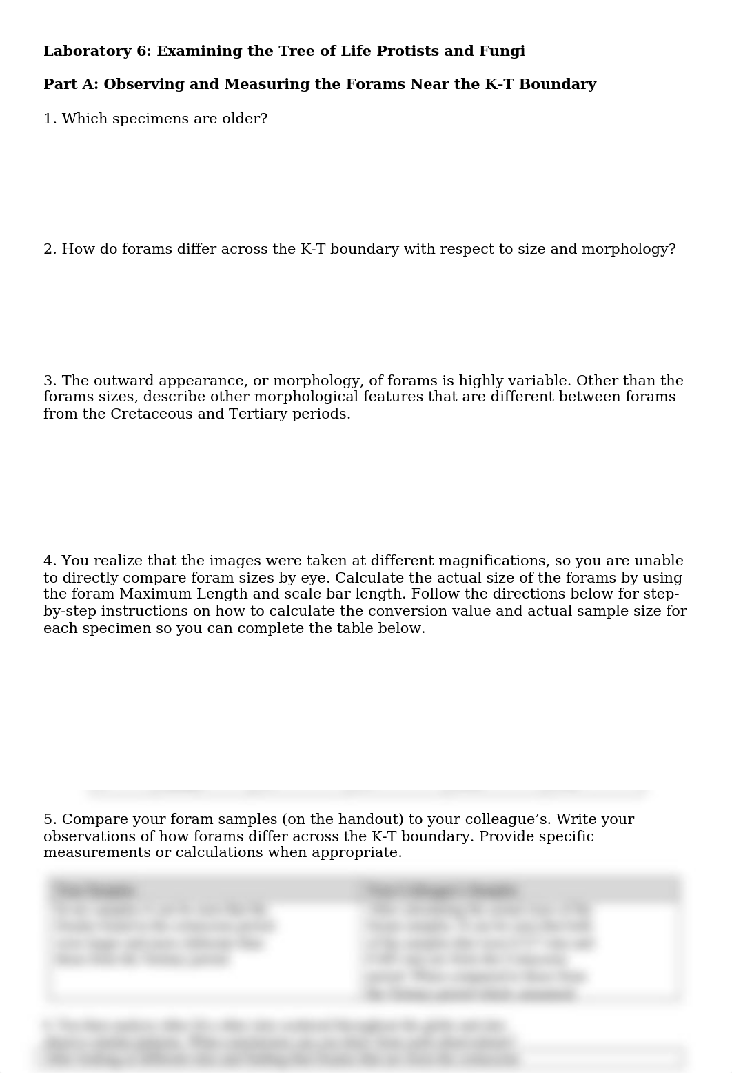 Lab 6 Write-Up.docx_d17hg1q4o4q_page1