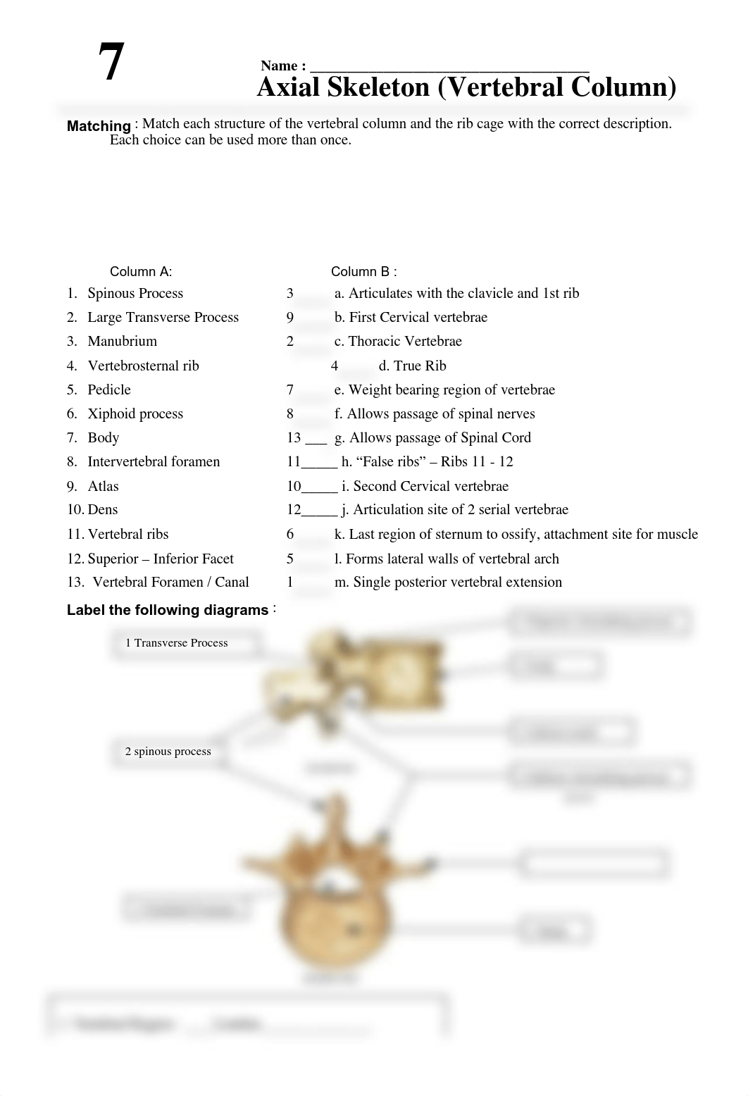 Bio47-Lab07-Key_d17oo6r1p7p_page1