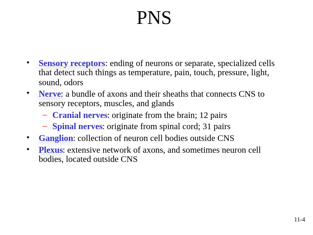 Ch.11 - Functional Organization of Nervous Tissue.ppt_d17qmud3b7e_page4