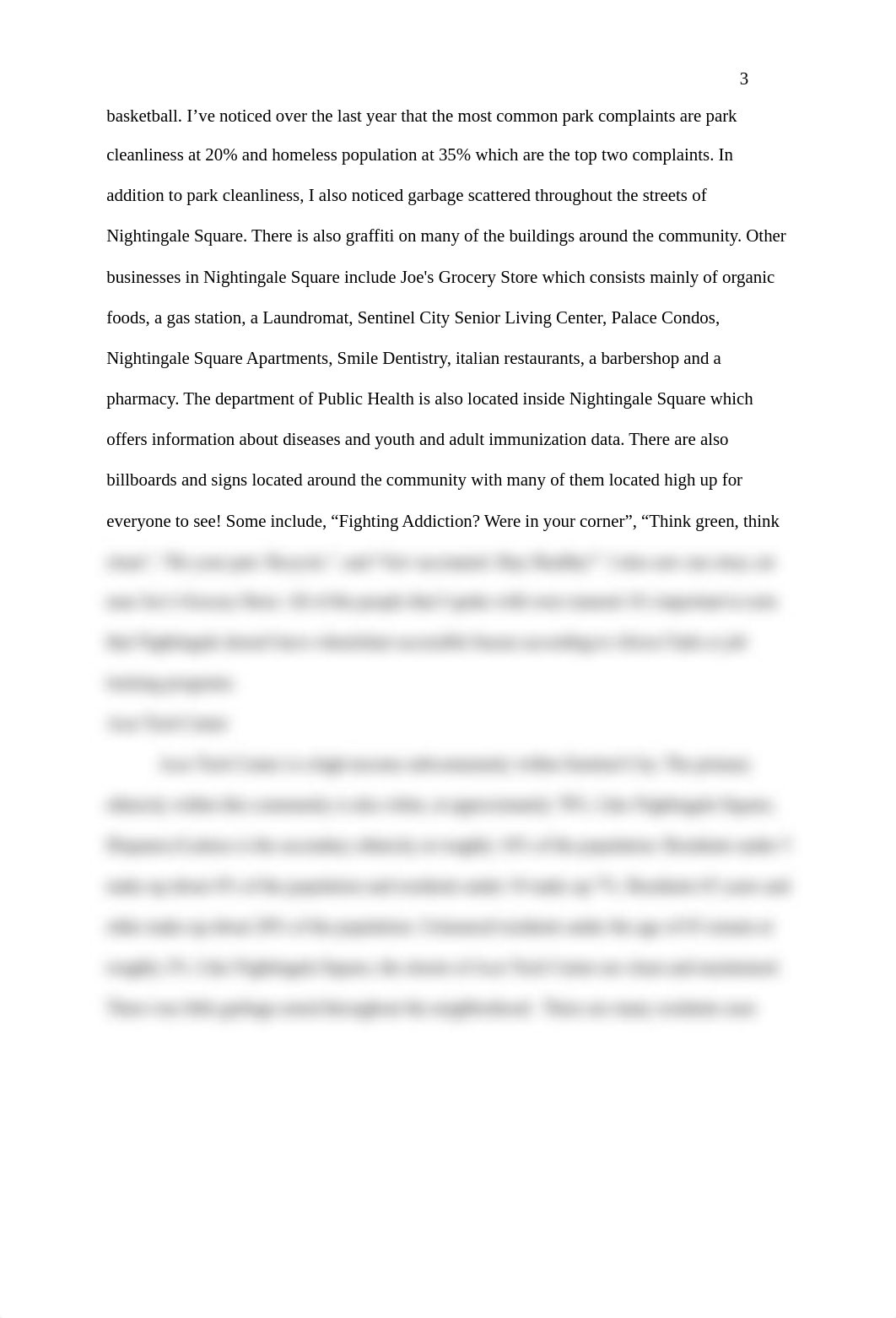 Windshield Survey-Tayler Mederois (1).docx_d17w6rw3etq_page3