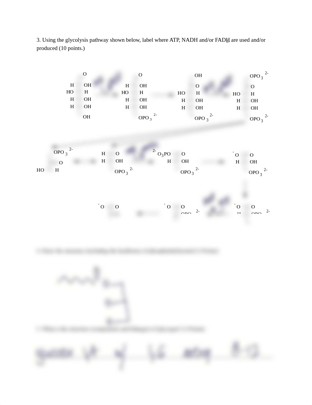 Biochemistry Quiz 14 Through Glycolysis Summer Term 2019.pdf_d180y4gzyky_page2