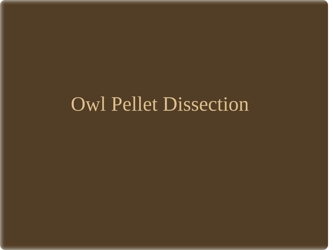 Owl Pellet Dissection_d1894osktfn_page1