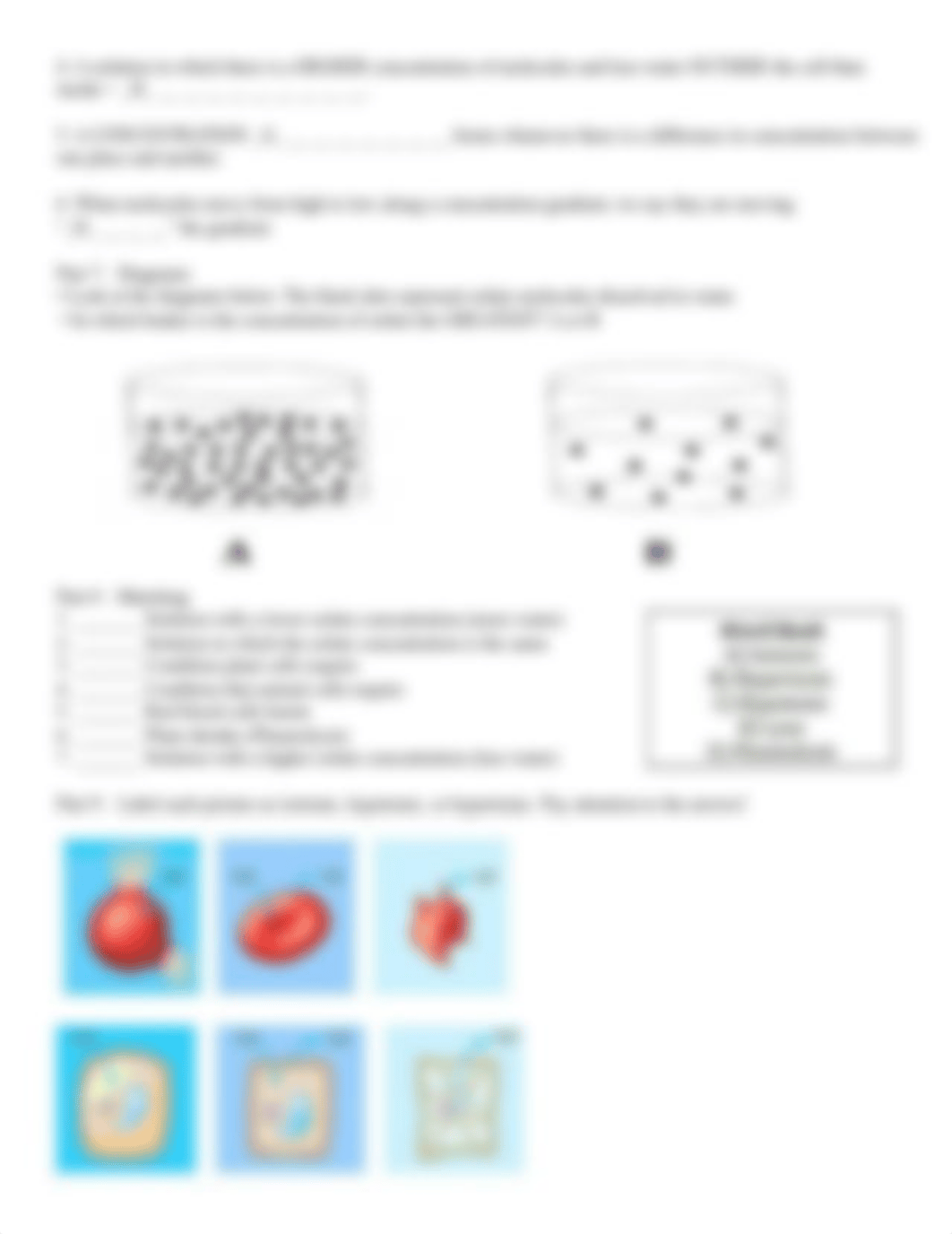 Passive Transport Review Worksheet 2020.docx_d18993wume5_page3