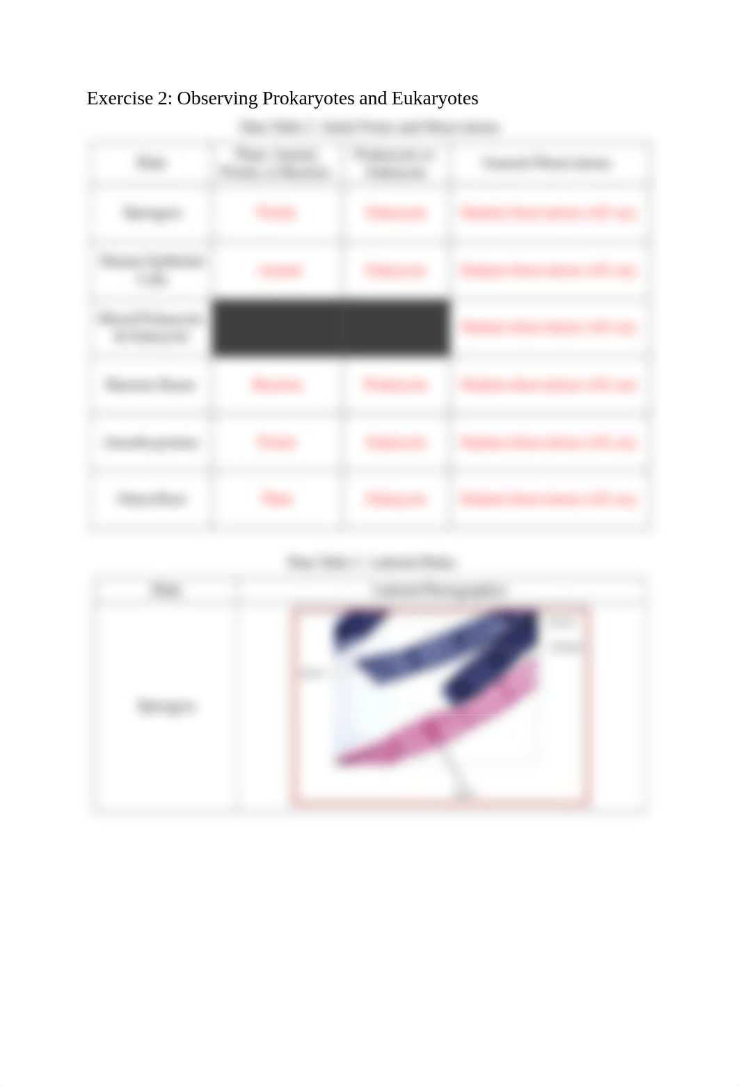 Cells_Prokaryotic and Eukaryotic_KEY.pdf_d18d67ls93h_page3