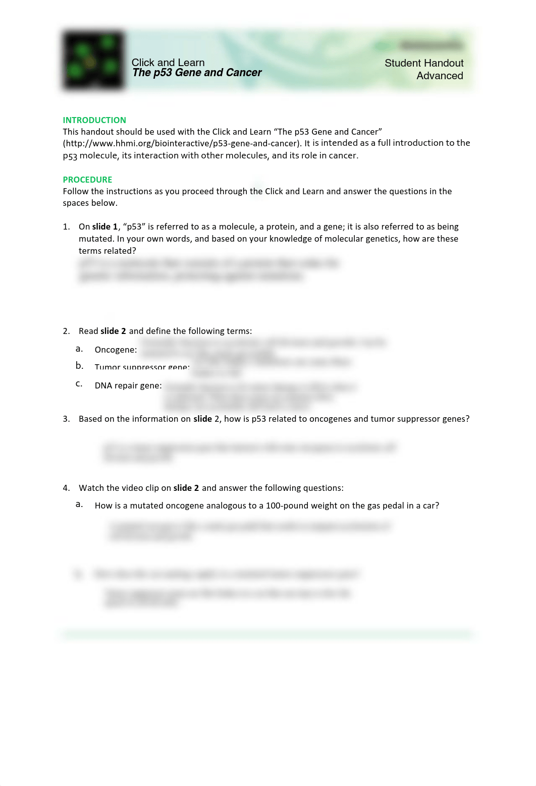 p53_and_cancer_HHMI_AP_Bio.pdf_d18gztq8i07_page1