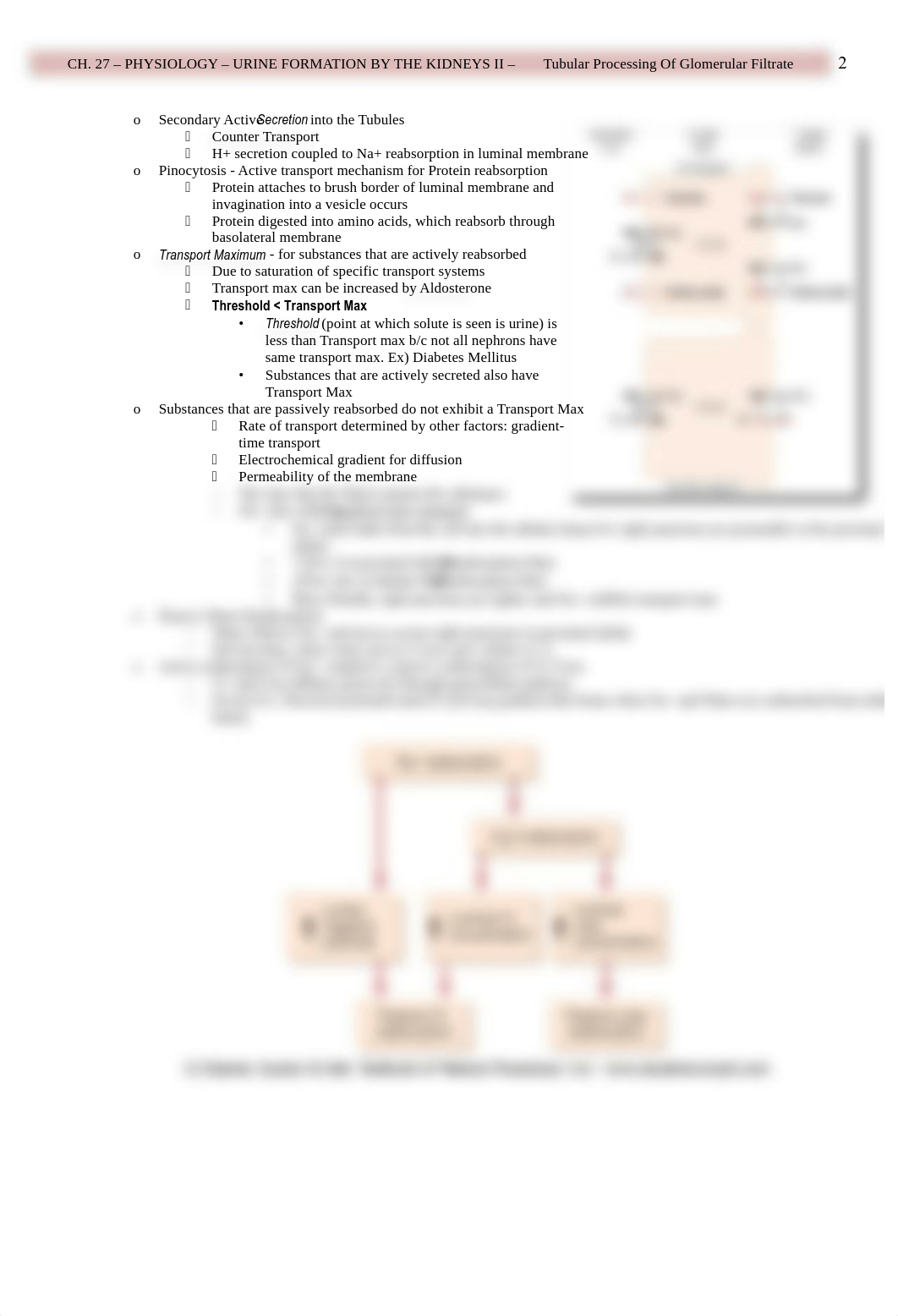 Physio - 27 - Urine Formation by the Kidney - Part II - BL_d18lyumyisk_page2